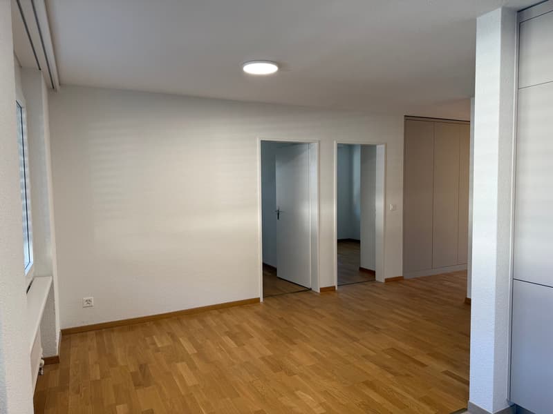 Erstvermietung nach Sanierung – grosszügige 4.5-Zimmer-Wohnung mit Balkon (5)