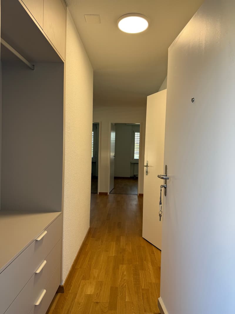 Erstvermietung nach Sanierung – grosszügige 4.5-Zimmer-Wohnung mit Balkon (13)