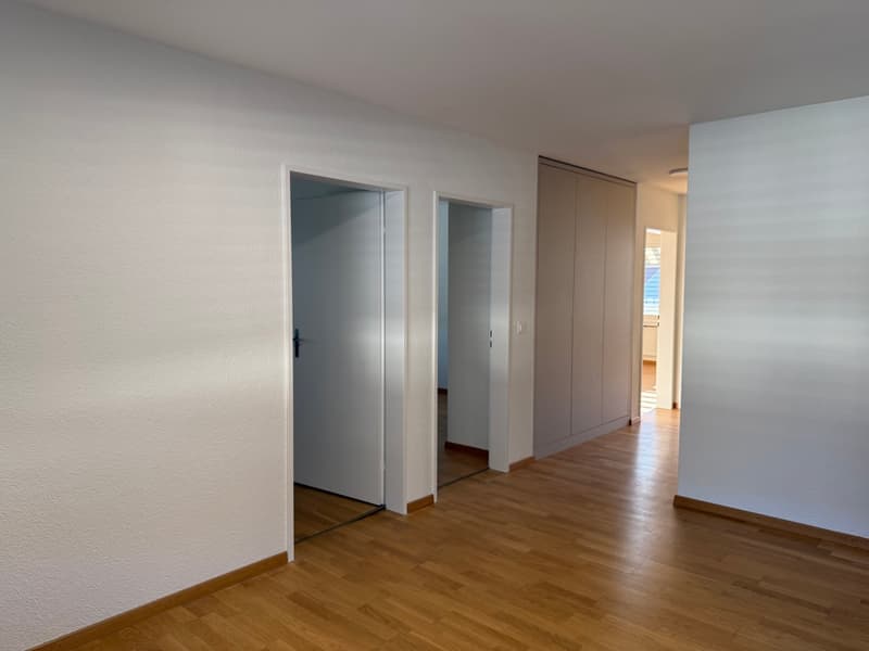 Erstvermietung nach Sanierung – grosszügige 4.5-Zimmer-Wohnung mit Balkon (11)