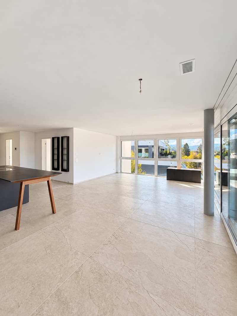 Exklusive 4.5-Zimmer-Terrassenwohnung mit Weitsicht und ultraluxuriösem Ausbau (8)