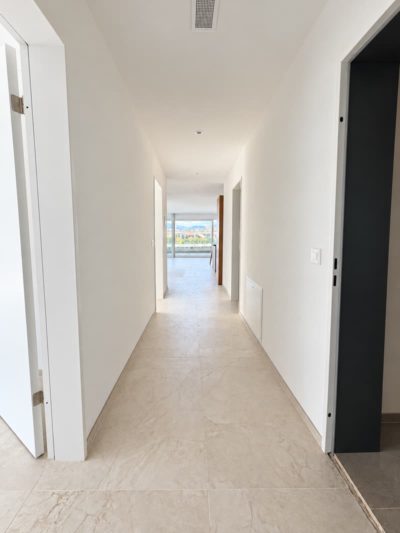 Exklusive 4.5-Zimmer-Terrassenwohnung mit Weitsicht und ultraluxuriösem Ausbau (3)