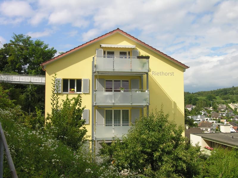 1 Zimmer Dachwohnung in Schaffhausen (2)