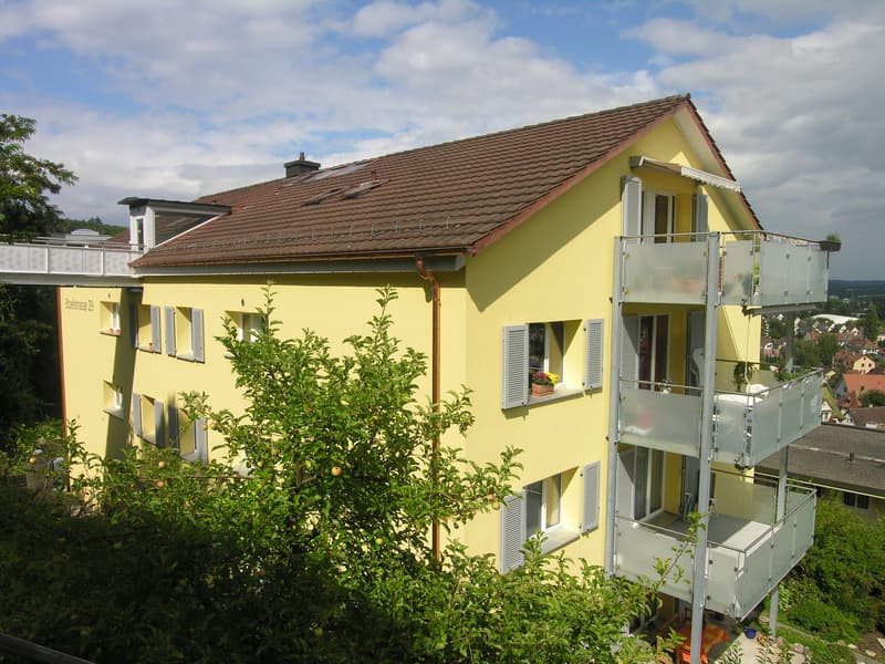 1 Zimmer Dachwohnung in Schaffhausen (1)