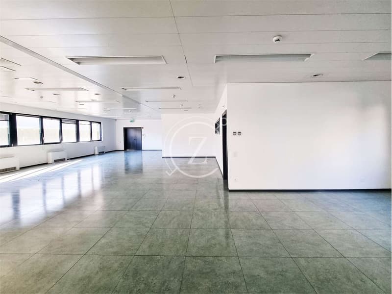 Affittiamo locale amministrativo di 272.25 mq (2)