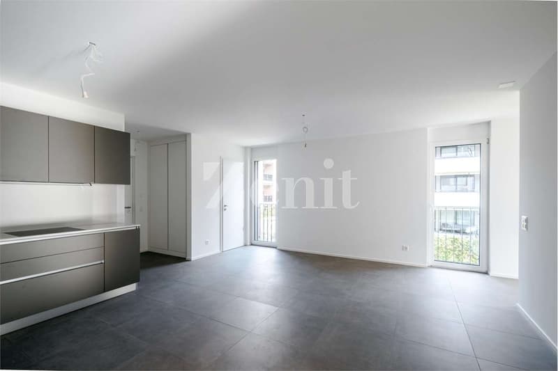 Nuovo appartamento 3.5 locali con balcone (11)
