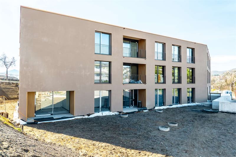 Pregassona ampio e nuovo 4.5 con giardino al PT (5)