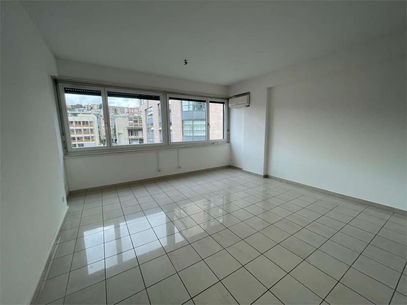 Affittiamo spazio commerciale Lugano Centro (6)
