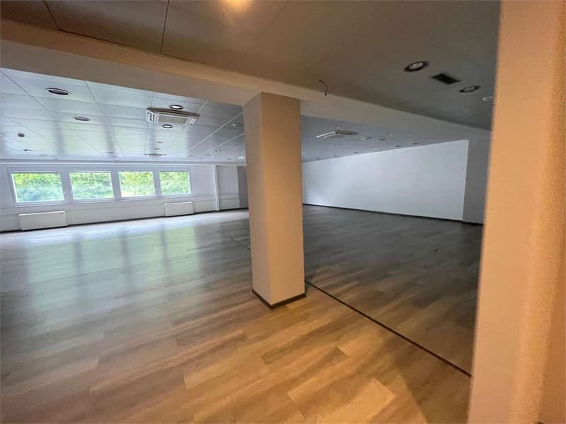 Affittiamo spazio commerciale ristrutturato a Manno (3)