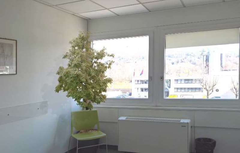 Affittiamo Spazio commerciale (2)