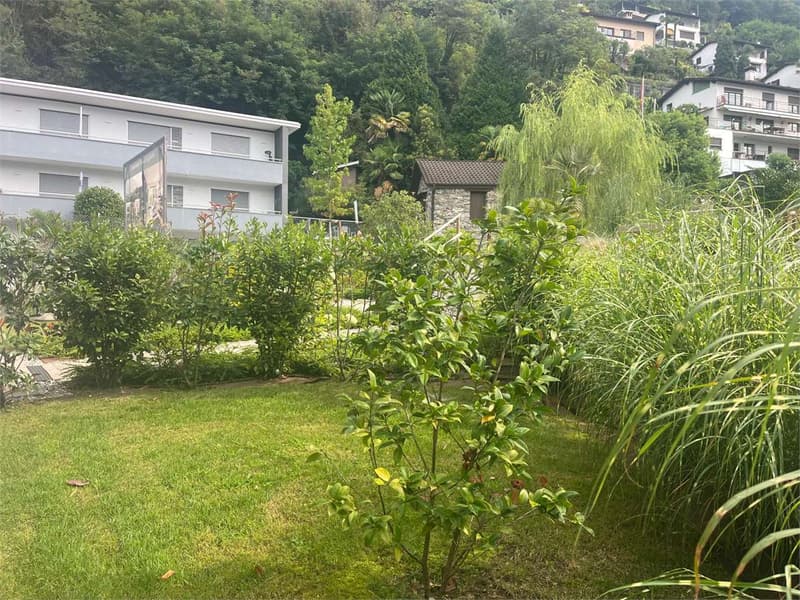 Gordola- stupendo 4.5 con giardino (12)