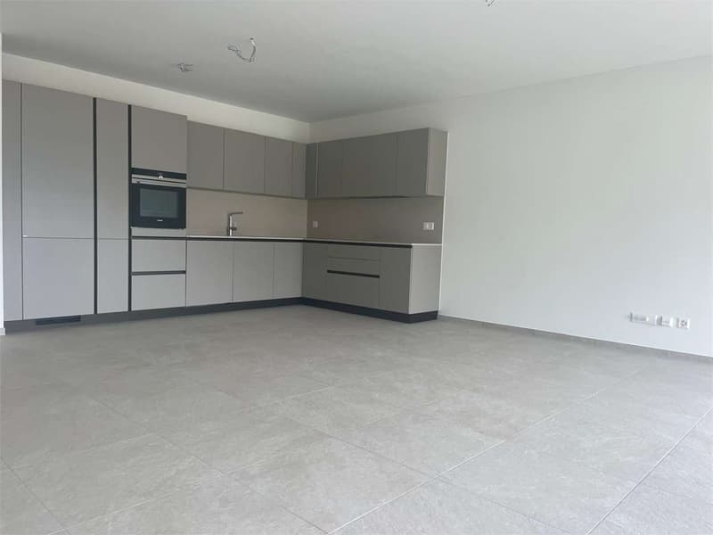 Gordola- stupendo 4.5 con giardino (5)