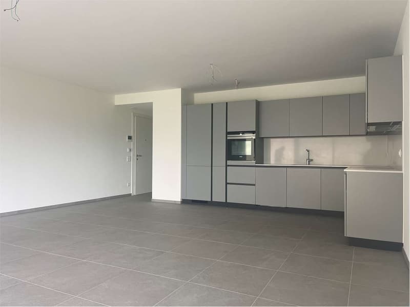 Gordola- bellissimo  appartamento 4.5 con grande giardino (6)