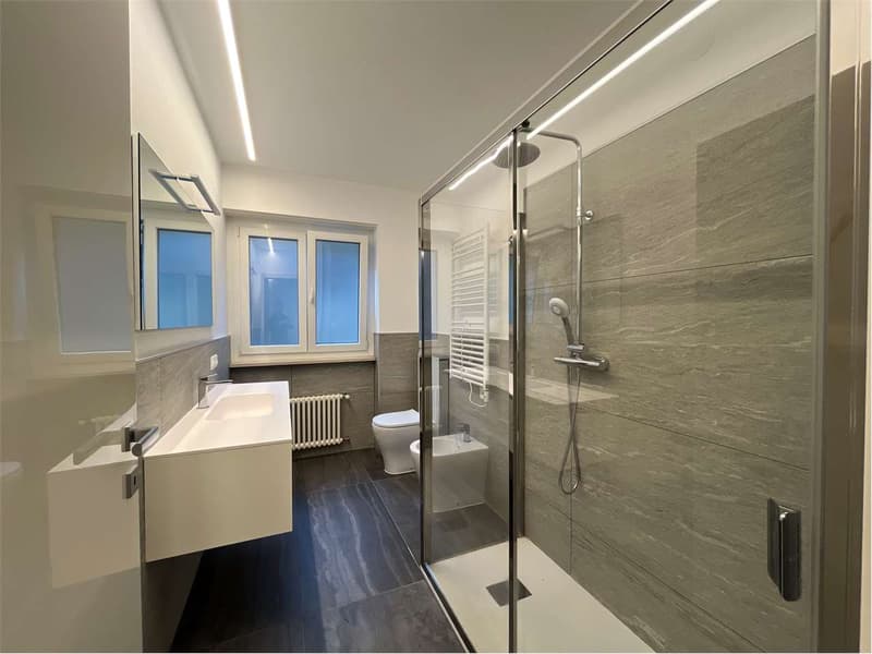 Elegante appartamento fronte Lago di Lugano - Vista impareggiabile e f (7)