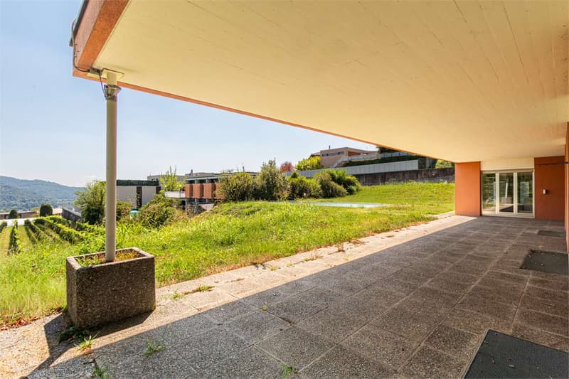 Villa con grande giardino e ampia piscina - Coldrerio (12)
