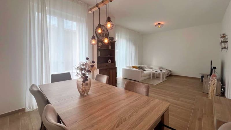 Porzione di casa bifamiliare in VENDITA, 4.5 locali (3)