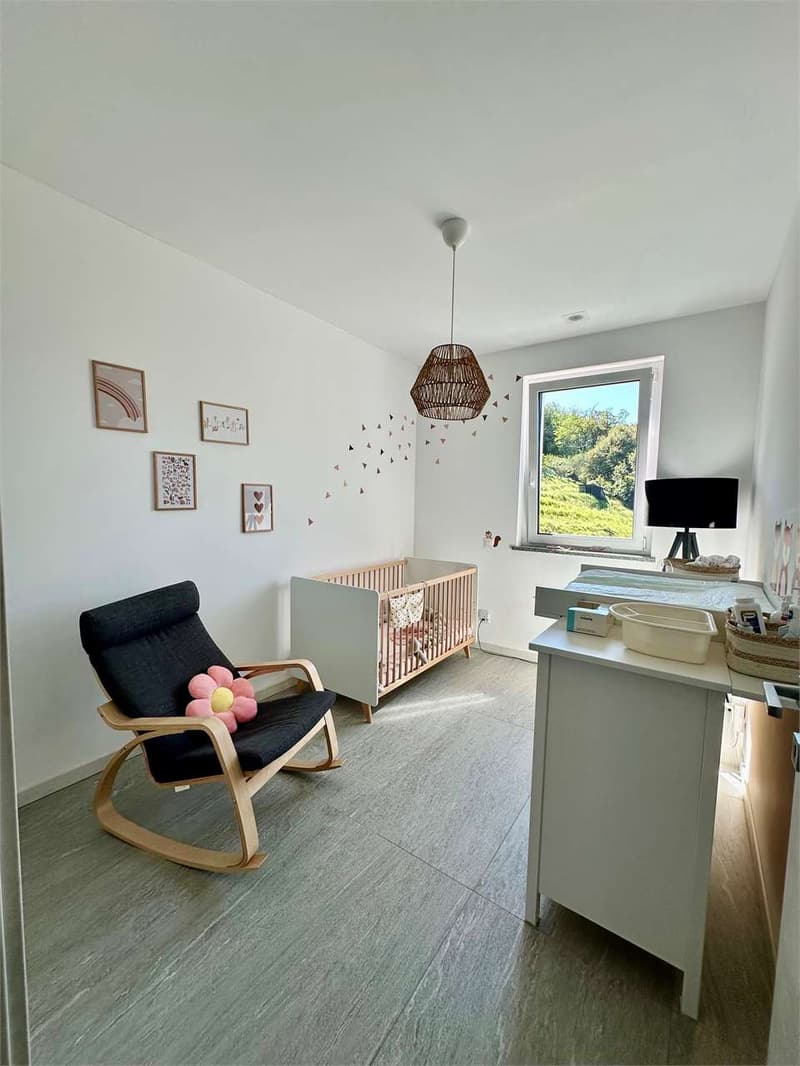 Villa contigua moderna con giardino privato ad Arzo, standard minergie (9)