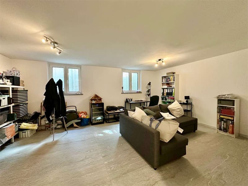 Villa contigua moderna con giardino privato ad Arzo, standard minergie (10)