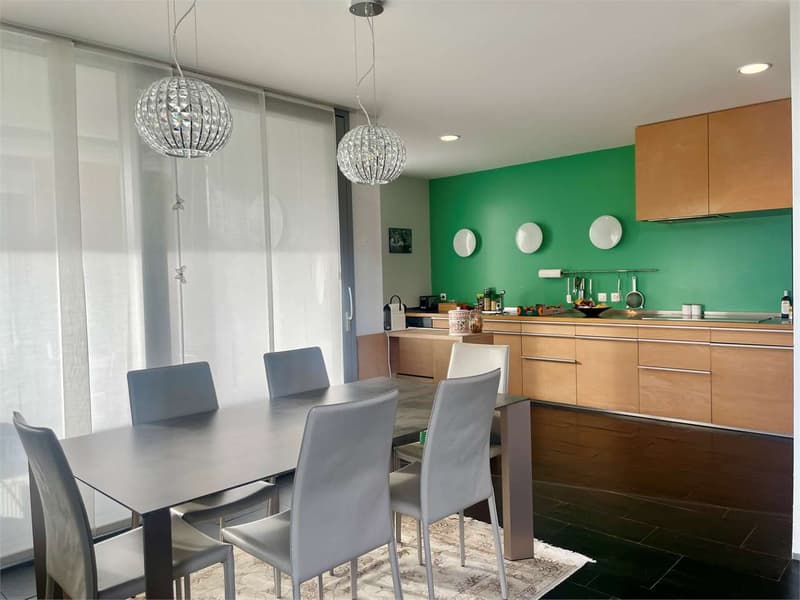 Splendida ed elegante villa dal design contemporaneo (7)