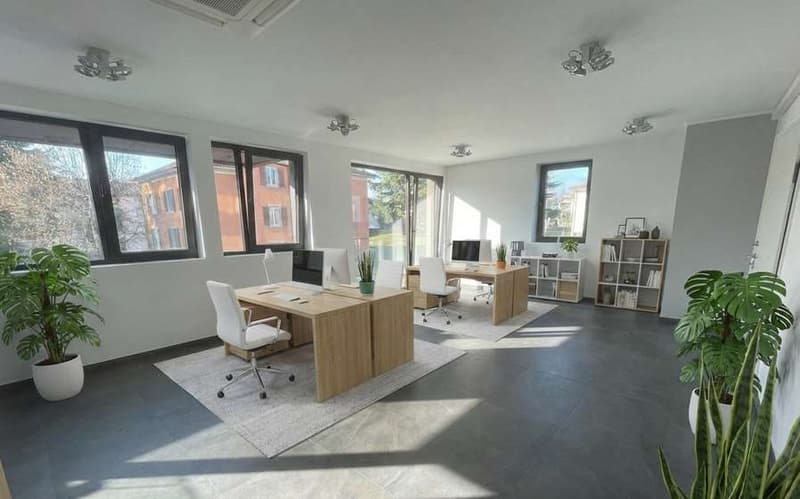 Ufficio in vendita - Massagno, posizione centrale (2)