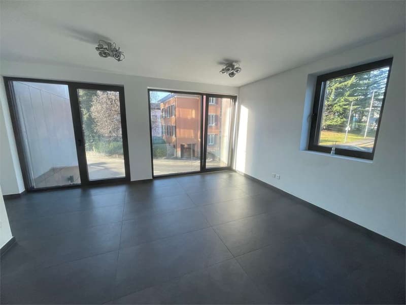 Ufficio in vendita - Massagno, posizione centrale (5)