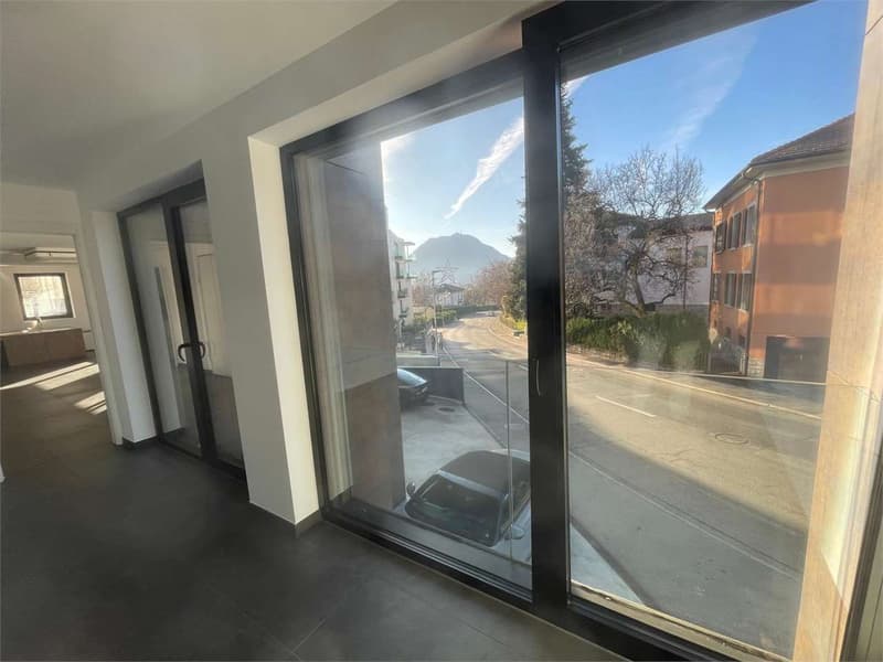 Ufficio in vendita - Massagno, posizione centrale (6)