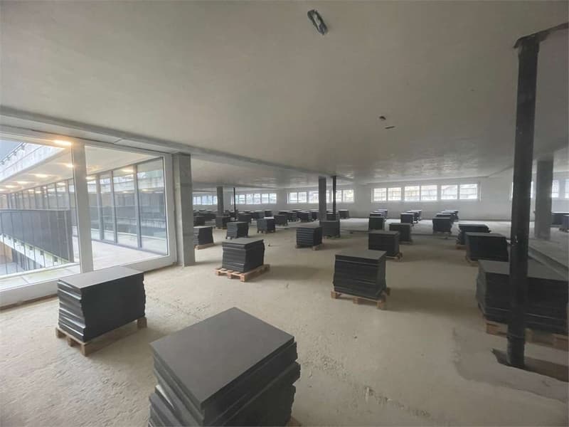 Magazzino/ufficio Open space  di oltre 1'400  mq in affitto a Vezia, N (4)