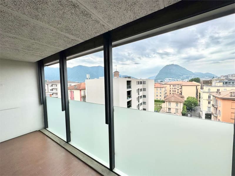 Luminoso e ampio ufficio centrale a Lugano in zona di forte passaggio (2)
