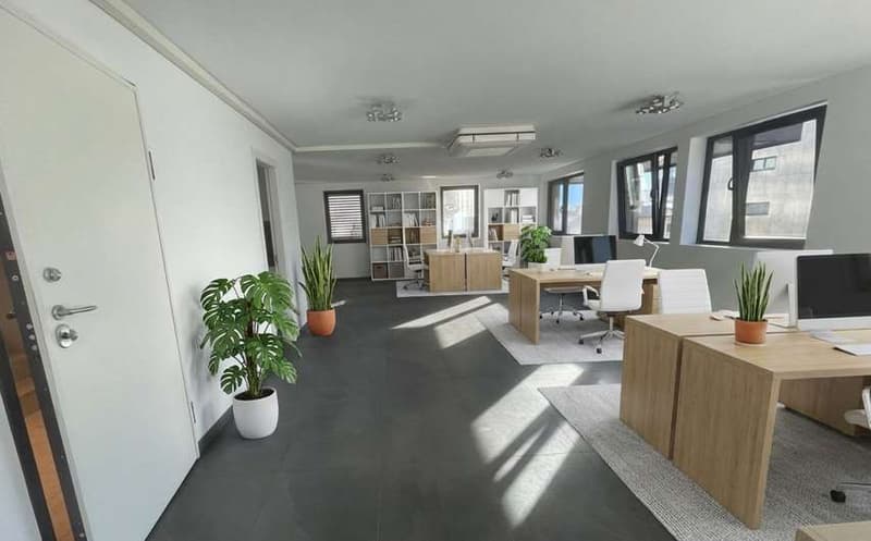 Ufficio in Affitto - Massagno, posizione centrale (1)