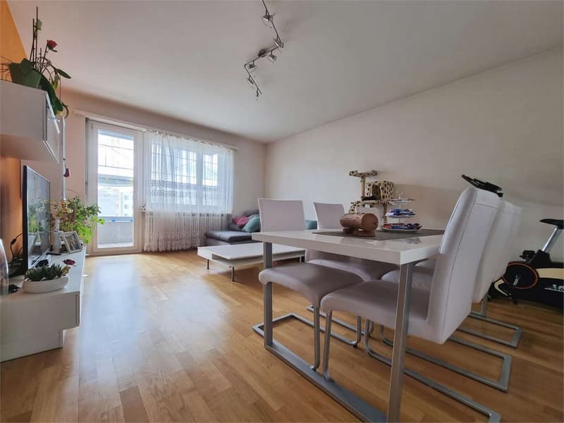 Appartamento 3.5 locali a Lugano Pregassona (1)