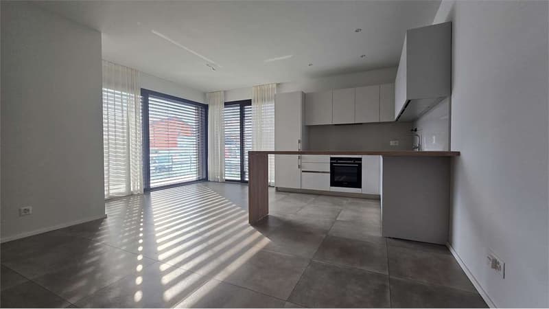 Nuovo Appartamento 2,5 locali  Lugano (2)