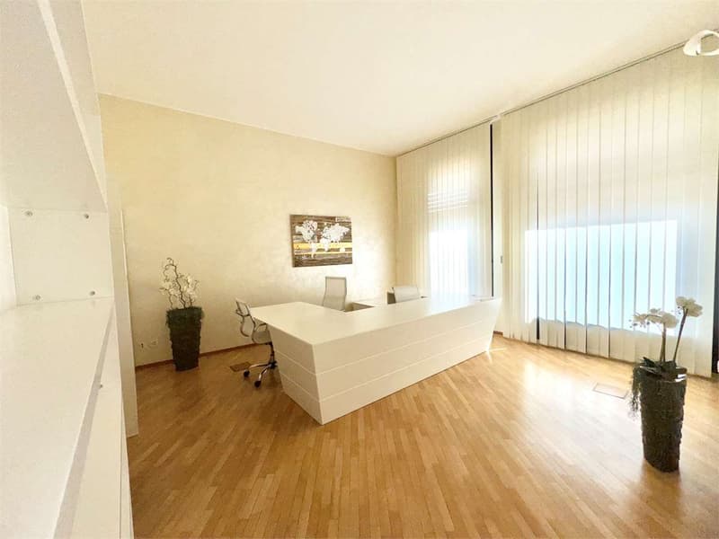 Ufficio di 5 locali a Lugano - centro a due passi dall'Istituto Elveti (5)