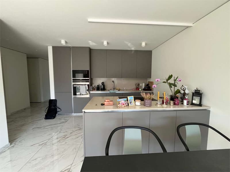 Appartamento 2.5 locali a Sorengo Lugano (2)