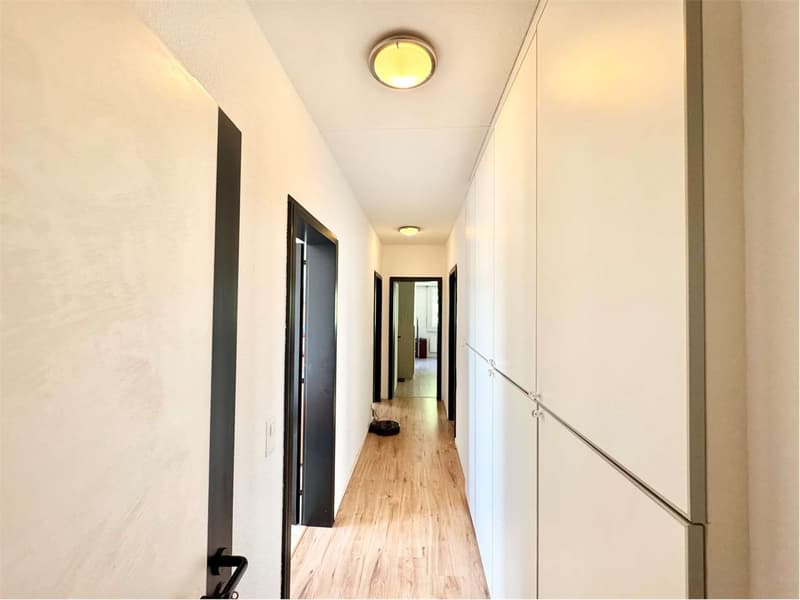 Appartamento luminoso di 4.5 in affitto a Pregassona in zona residenzi (6)
