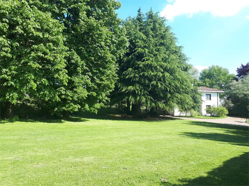 Esclusiva proprietà immersa nella natura della Brianza lecchese - Mera (10)