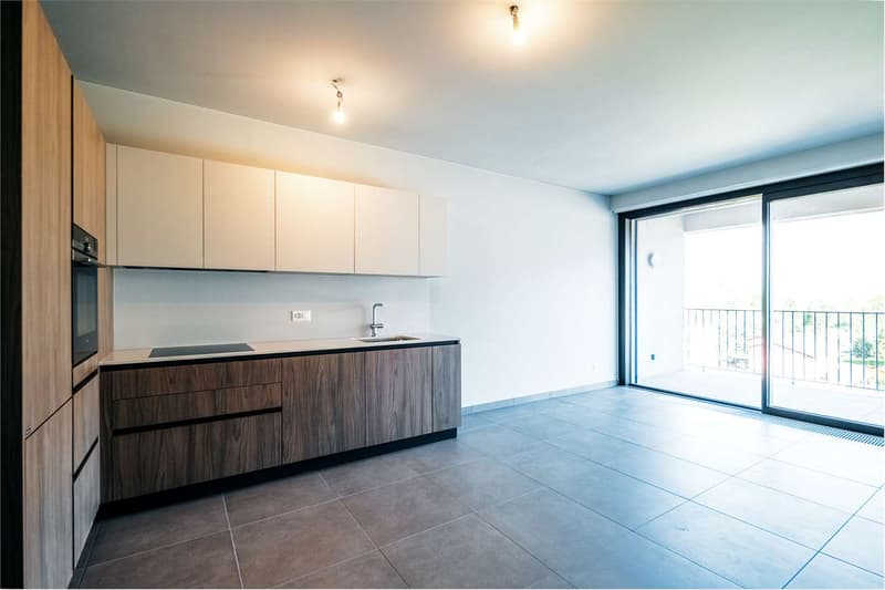 Splendido 2,5 Residenza Solaia-Ascona (3)