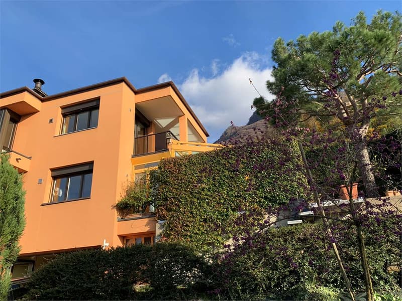 Pregassona - Splendida villa Bifamiliare (11)