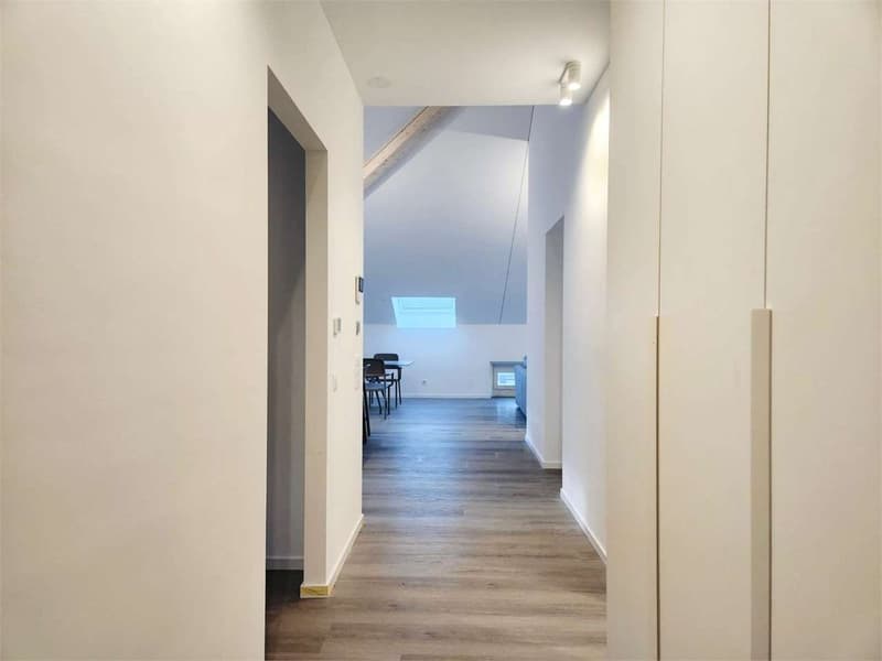Attico completamente ristrutturato a Bellinzona (2)