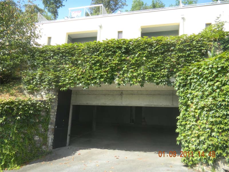 Splendida Casa a schiera di 3 livelli con giardino a Monteggio - Ponte (6)
