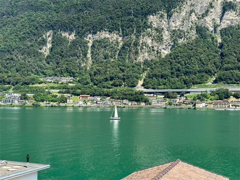 RIVA SAN VITALE - DUE APPARTAMENTI DIRETTAMENTE A LAGO (1)