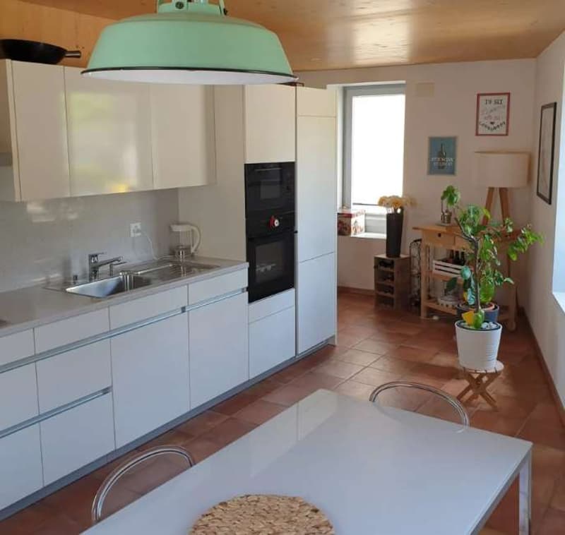 Affascinante casa Loft in affitto a Barbengo - 112 m², giardino e post (3)