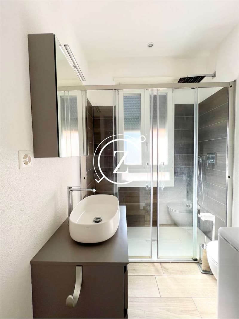 Appartamento 2.5 completamente ristrutturato con vista lago a Lugano (3)