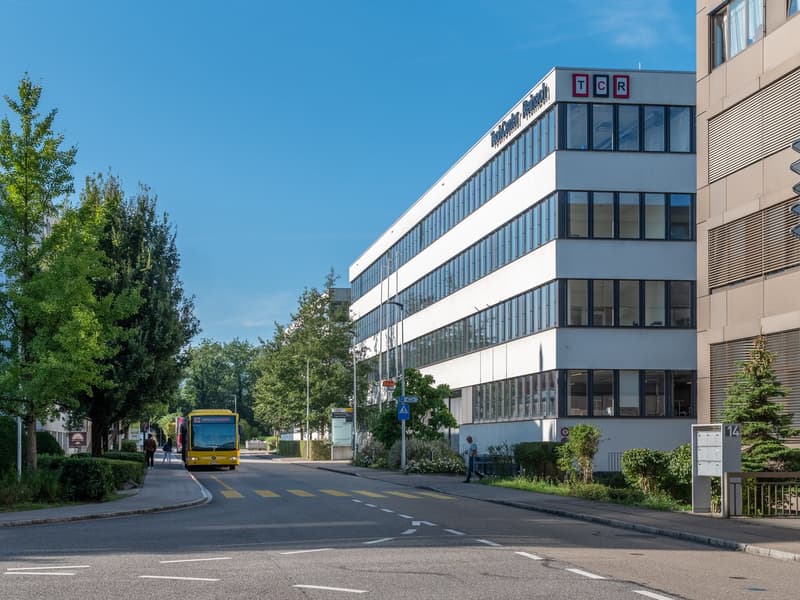 modern white office building, glass windows, 4 floors, side road, people walking, trees, bushes, street signs