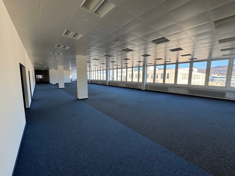 Espaces de bureau aménagés pour une utilisation flexible (3)