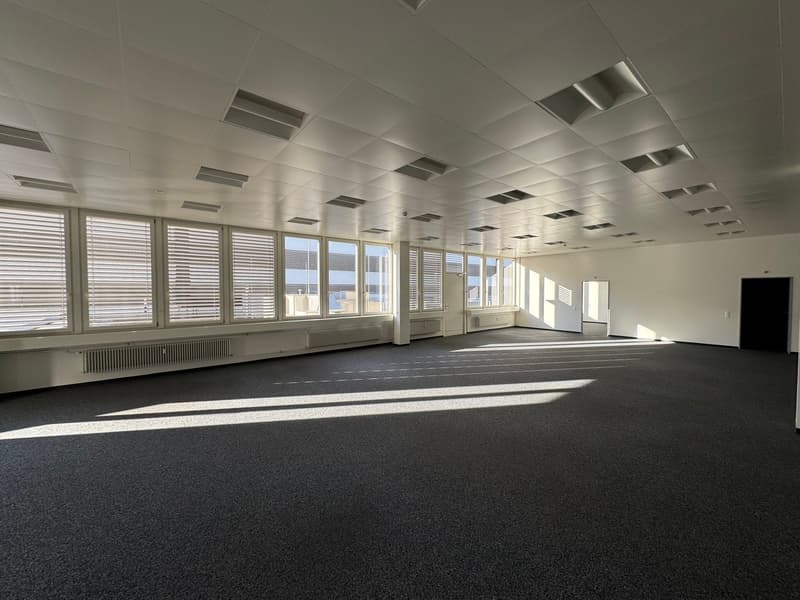 Espaces de bureau aménagés pour une utilisation flexible (4)
