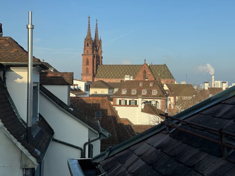 Roofs, red brick buildings, historical tower, church with green roof, chimneys, view of city skyline