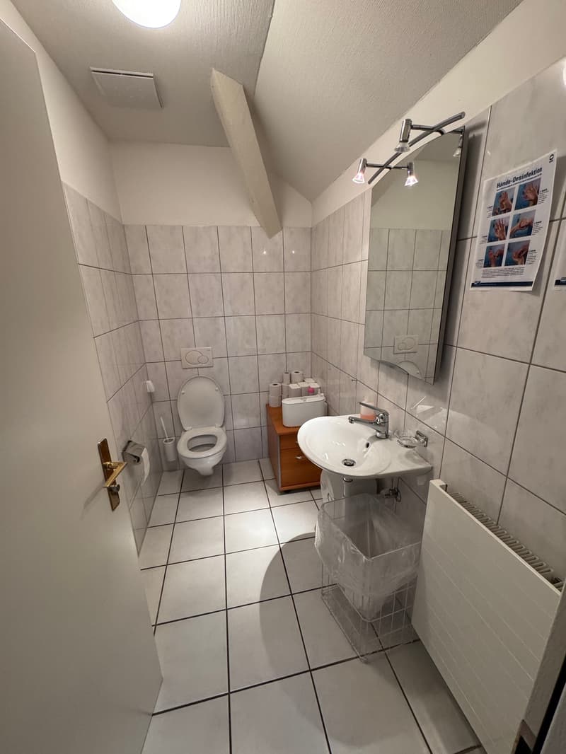 small bathroom with toilet, sink, and mirror