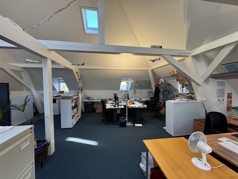 open space office, desks, chairs, white file cabinets, ceiling fan, skylight, blue carpet