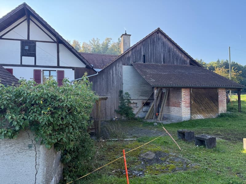 Maison de paysan charmante avec garage et grand jardin à Mühledorf SO (10)