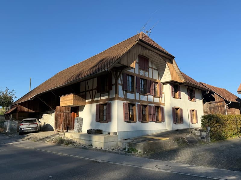 Maison de paysan charmante avec garage et grand jardin à Mühledorf SO (6)