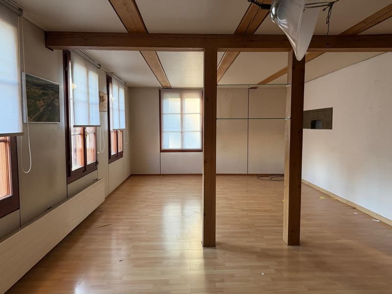Maison de paysan charmante avec garage et grand jardin à Mühledorf SO (13)